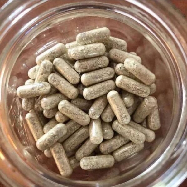 buy ibogaine capsules